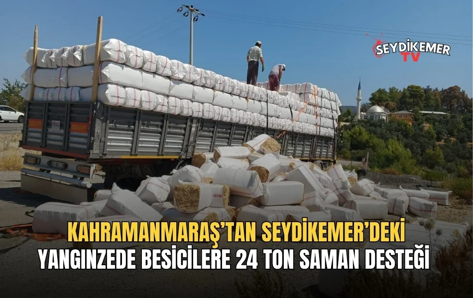 Haber Resmi