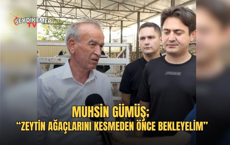 Haber Resmi