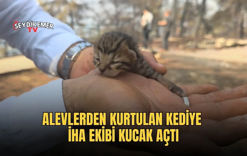 resim