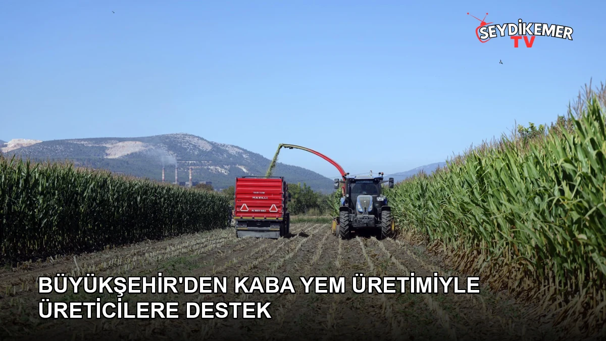 Haber Resmi